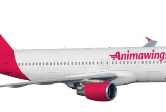 Animawings Eyes Expansion in Eastern Europe